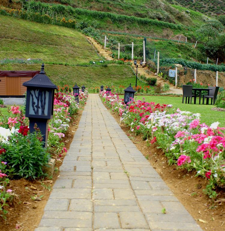 Serene Villa Nuwara Eliya Exterior photo